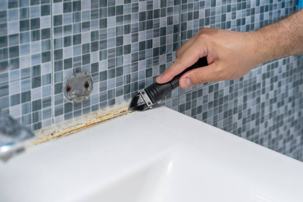 Best Commercial Mold Remediation in Havana, IL